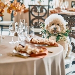 アーセンティア迎賓館 静岡のフェア画像