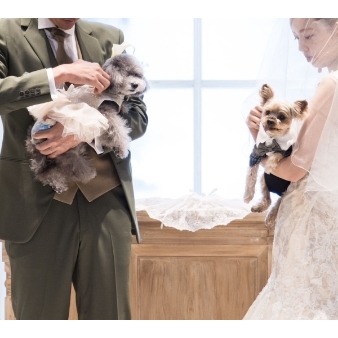 PARK SIDE HOUSE OSAKA（パークサイドハウス大阪）:《2026年9月まで◇30名139万》大切な家族のペットと過ごす邸宅ウェディングプラン:大切な家族ペットと過ごす1日