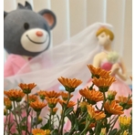 ＳＯＤＡＪＩＭＡ　Ｈｅａｌｔｈ＆Ｂｅａｕｔｙケアサロンのエステティシャンイメージ