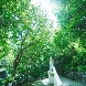 ウェスティンホテル大阪：【月曜限定７大BIG特典】緑溢れる中自然の森＊チャペル体験
