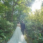 ウェスティンホテル大阪のフェア画像