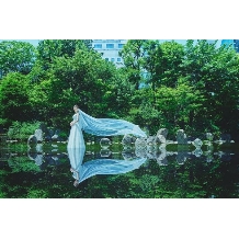 ウェスティンホテル大阪:PHOTO WEDDIG PLAN（洋装）