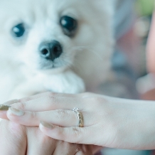 ＡＩＬＥ ｄ’ＡＮＧＥ garden（エルダンジュ　ガーデン）:【最大80万円ご優待】2026年も適用OK＜ペット婚プラン＞