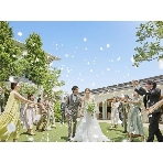 Ｍｉｅｌ　Ｃｌｏｃｈｅ（ミエルクローチェ）のフェア画像