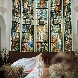 四季の丘 seasons withのフェア画像