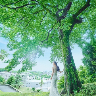 四季の丘 seasons withのフェア画像