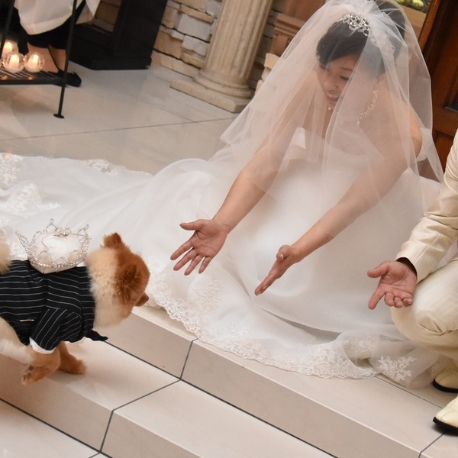 フェリシアコート：【わんちゃんOK】ペットと叶える結婚式◇試食&相談会