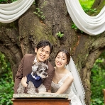 ラ・クラリエールのフェア画像