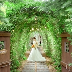 ラ・クラリエールのフェア画像