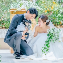 エレガンテヴィータ:わんちゃんと挙式から披露宴までずっと一緒に。愛犬と叶えるペット婚プラン*わんちゃん用ケーキプレゼント