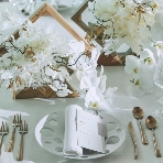 ザ マグナス TOKYOのフェア画像