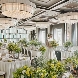 ラグナヴェール名古屋のフェア画像