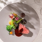 ラグナヴェール プレミア LAGUNAVEIL PREMIERのフェア画像