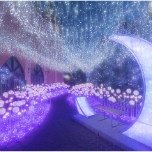 宮の森フランセス教会:【50名様以上 2027年1・2月】グリルザプレイス限定WINTER WEDDINGプラン