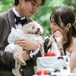 ザ ナンザンハウス（ＴＨＥ ＮＡＮＺＡＮ ＨＯＵＳＥ）：【ペット婚×ガーデン挙式】大切な家族と一緒◆貸切安心相談会