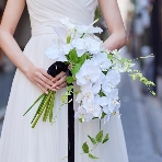 リバースイート京都鴨川迎賓館のフェア画像