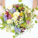 ラ・フェット ひらまつのフェア画像