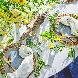 ノートルダム神戸 Ｎｏｔｒｅ Ｄａｍｅ ＫＯＢＥのフェア画像