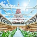 The Place of Tokyo（ザ プレイス オブ トウキョウ）のブライダルフェア画像