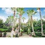 ALTAVISTA GARDEN(アルタビスタ ガーデン)のフェア画像