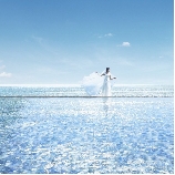 ジェームス邸（神戸市指定有形文化財）のブライダルフェア画像