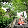 北野天満神社：【挙式のみでも大丈夫】平日じっくり特別相談会！