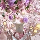 ザ リュクス 銀座(THE LUXE GINZA)のフェア画像
