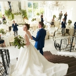 アルマリアン 福岡(ALMALIEN FUKUOKA)のフェア画像