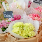 ブランシュメゾン・エ・コートダジュールのフェア画像