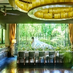 クラシカ表参道／別邸KEYAKIのフェア画像