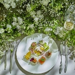 天空の森（ソラノモリ）　セントクレアヒルズのフェア画像