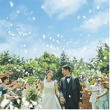 ニーズ横浜シーズンズ by T&G WEDDING (旧 ザ・シーズンズ)のブライダルフェア画像