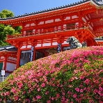 ＫＯＴＯＷＡ 京都 中村楼（コトワ 京都 中村楼）のフェア画像