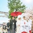 ＫＯＴＯＷＡ 京都 中村楼（コトワ 京都 中村楼）：【八坂神社挙式希望の方へ】国宝神社×中村楼の和婚と贅沢試食