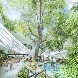 アルカンシエル luxe mariage大阪のフェア画像