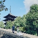 菊水楼(THE KIKUSUIRO NARAPARK)のフェア画像