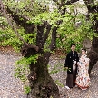 若宮の杜　迎賓館（名古屋観光ホテル）：10組限定＜結婚記念樹プレゼント＞想い出＆帰ってこれる場所