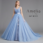 ザ クラウンヴェール ロータスベイのフェア画像