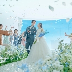 ザ クラウンヴェール ロータスベイのフェア画像