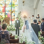 ブライマリーコートのフェア画像