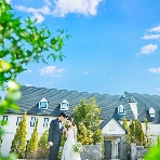 ブライマリーコートのフェア画像