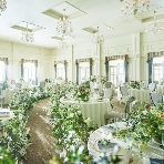 ブライマリーコートのフェア画像