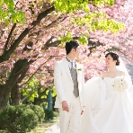 レストランＭＩＮＡＭＩのフェア画像