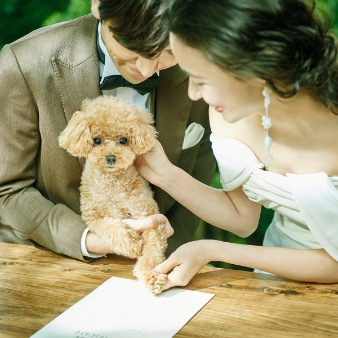 Maison de Forest（メゾン・ド・フォレスト）:【ペット婚プラン】大切な家族と一緒に*「挙式＆パーティ」どちらもOK♪ワンちゃんの食材制限にも対応★:【式場見学1軒目はメゾン・ド・フォレストがお得★】口コミ高評価の美食フレンチ「熊本ナチュール」のご試食＆豪華特典プレゼント！森に囲まれた一軒家貸切邸宅で、木造建築「森のチャペル」での光と緑に包まれた挙式や少人数から120名まで叶うナチュラルなパーティが実現◎熊本の空にいちばん近い、森に囲まれた"Maison de Forest"で時を愉しむ特別なウエディングをお楽しみください。