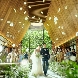 ニーズ神宮前 by T&G WEDDING (旧 アルモニーソルーナ表参道)のフェア画像