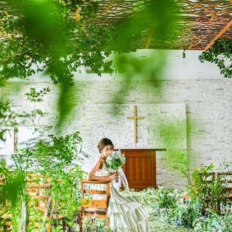 The Forest of Lold（ザ　フォレスト　オブ　ロルド）：ロルド人気No.1【3万ギフト×最大90万特典】贅沢無料試食