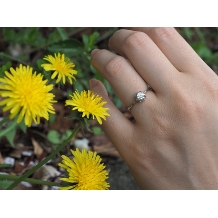 ＶＥＩＬ（ヴェール）:倖せを運ぶたんぽぽのデザインが可愛い婚約指輪【萬時】