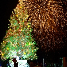 リラノートチャーチ ベイ函館:【冬季限定　花火鑑賞プラン】クリスマスウエディングプラン☆