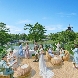 KOTOWA　奈良公園　Premium Viewのフェア画像