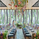 THE TENDER HOUSE(ザ テンダーハウス)のフェア画像